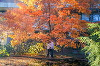 engagement session fall