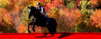 Mount Holyoke College Equestrians